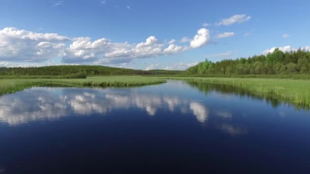 Озеро Окружено Растительностью — стоковое видео