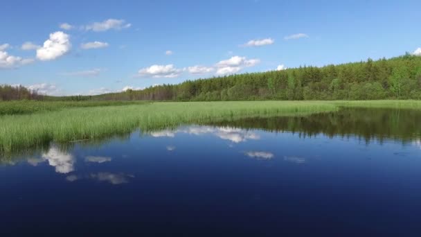 Utsikt Över Sjön Med Vegetation — Stockvideo