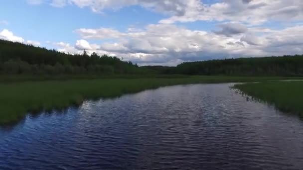 Meer Met Vegetatie Een Bewolkte Dag — Stockvideo