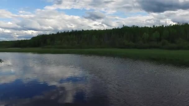 Озеро Окружено Растительностью — стоковое видео