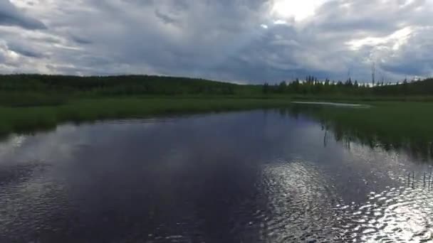 Sjön Med Vegetation Mulen Dag — Stockvideo