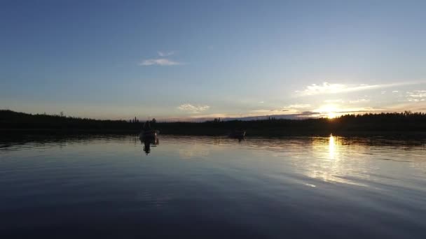 Båd Flydende Søen Ved Solnedgang – Stock-video