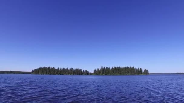 Forêt Sapins Vue Lac — Video