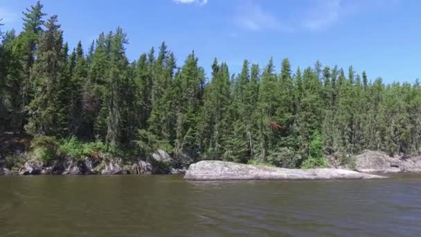 Göl Kıyısındaki Orman — Stok video