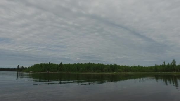 Landskap Med Sjö Och Skog — Stockvideo