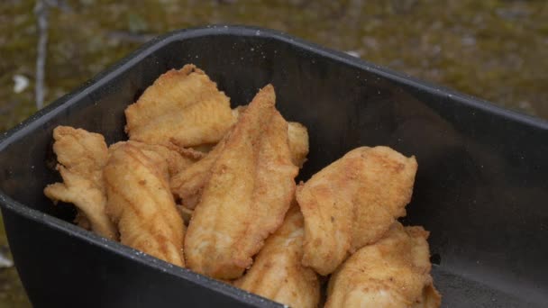 Poisson Frit Dans Une Casserole — Video