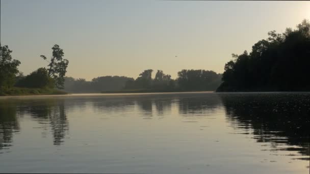 早上在维多利亚公园湖畔 — 图库视频影像
