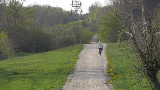 Person Walking Trail — Video Stock