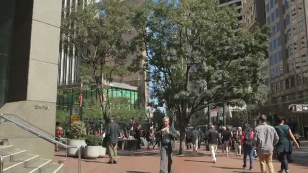 People Walking Resting Market Street — 비디오