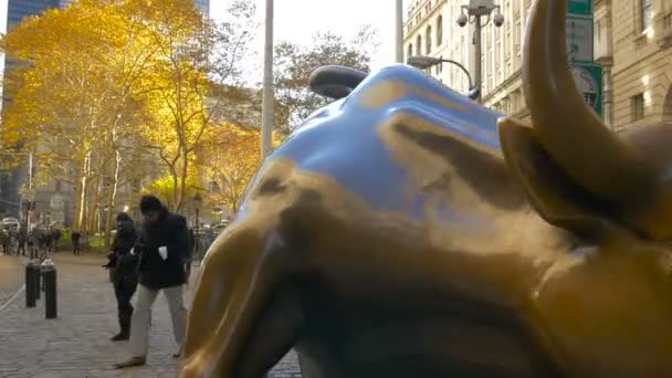 Nahaufnahme Des Wall Street Bullen New York Usa — Stockvideo