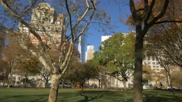 Battery Park New York — Stok video