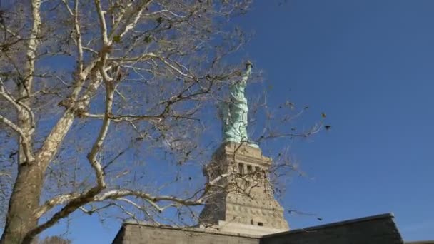 Frihetsgudinnan Sedd Bakom Ett Träd New York Usa — Stockvideo