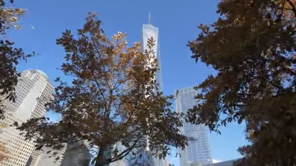 World Trade Center Visto Parco — Video Stock
