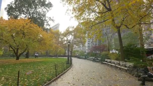 Aleja Madison Square Park — Wideo stockowe