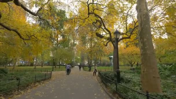 枯れ葉の路地を歩く人々 — ストック動画