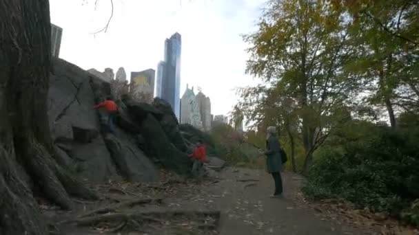 Steine Und Wolkenkratzer New York City — Stockvideo