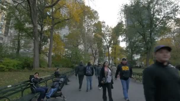 在美国纽约中央公园有长椅的小巷 — 图库视频影像