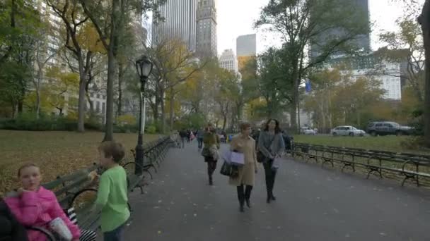 New York Abd Deki Central Park Sokağı — Stok video