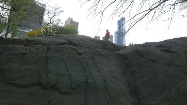 Walking Rocks Central Park — Vídeo de stock