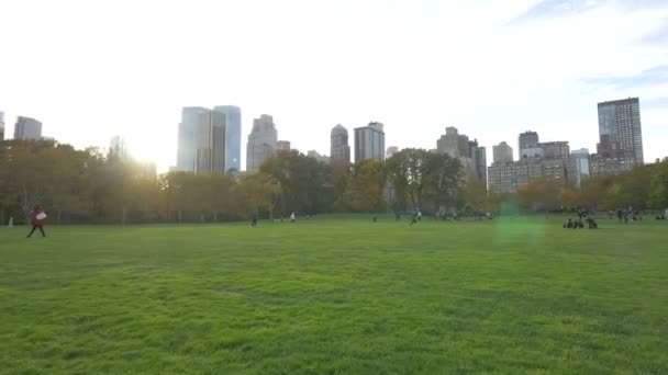 People Playing Frisbee Green Lawn — Stockvideo