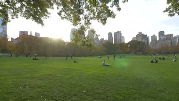 People Relaxing Central Park — Vídeo de Stock