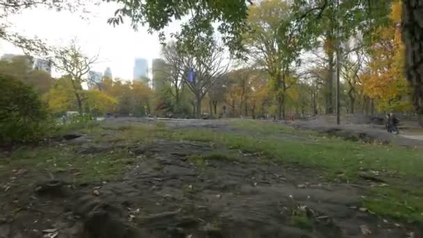 Central Park New York City — Stok Video