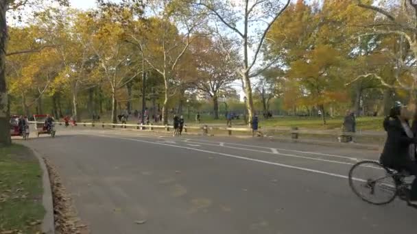 Fietsen Het Park New York Usa — Stockvideo