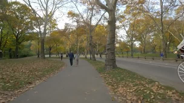 New York Abd Bir Parkta Yürüyen Insanlar — Stok video