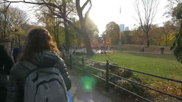 New York Abd Parkta Güneşli Bir Gün — Stok video