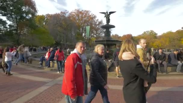 在美国纽约的喷泉旁放松的人们 — 图库视频影像