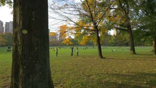 Green Lawn People Relaxing — Video Stock