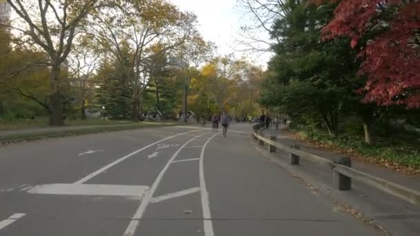 Jogging Paardrijden Fietsen Het Park New York Usa — Stockvideo