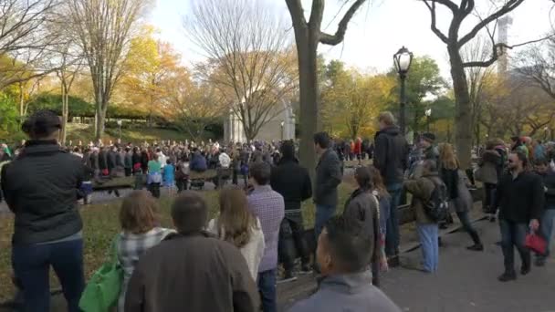 Pessoas Reunidas Central Park Nova York Eua — Vídeo de Stock