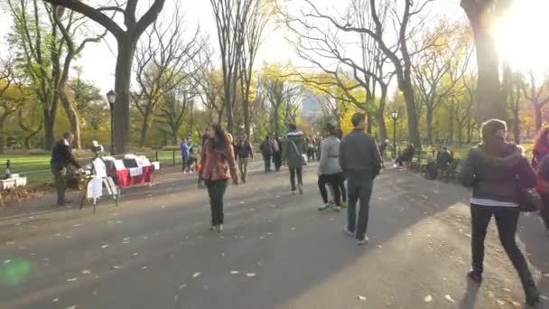 Люди Наслаждающиеся Прогулкой Парке — стоковое видео