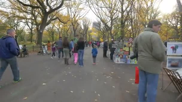 Pessoas Caminhando Parque Nova York Eua — Vídeo de Stock