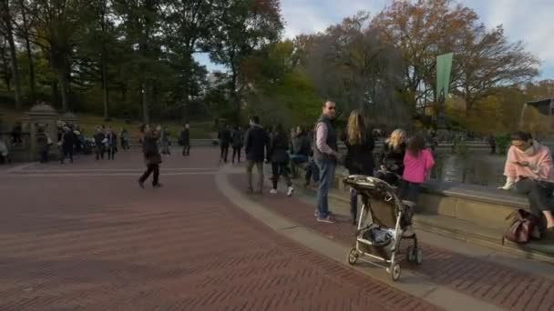 Park Mit Springbrunnen New York Usa — Stockvideo