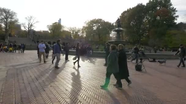 People Walking Fountain New York Usa — Stock Video