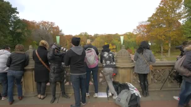 Personas Tomando Fotos Bethesda Terrace Nueva York Estados Unidos — Vídeo de stock