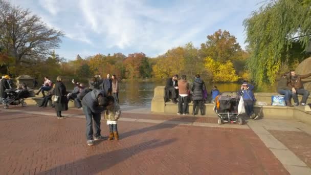 Άνθρωποι Χαλαρώνουν Δίπλα Στη Λίμνη Στο Central Park Στη Νέα — Αρχείο Βίντεο