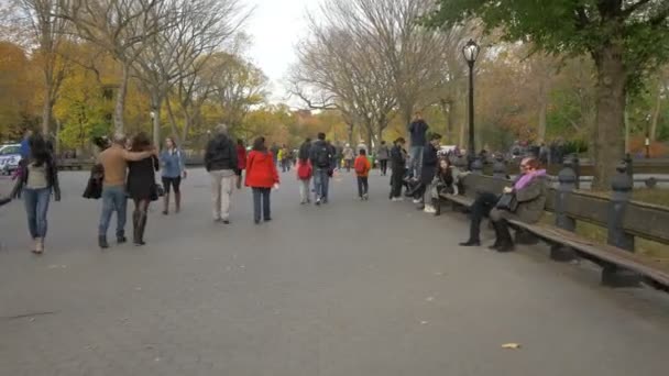 Paseo Por Central Park Nueva York Estados Unidos — Vídeo de stock