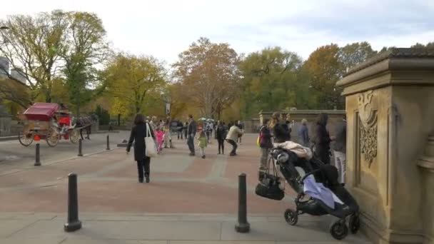Άνθρωποι Στο Central Park Στη Νέα Υόρκη Ηπα — Αρχείο Βίντεο