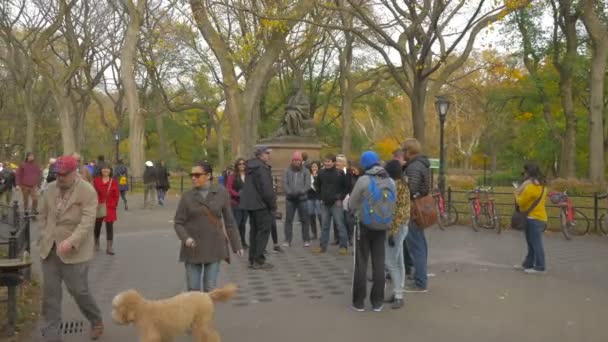 Park Aleja Ludźmi Chodzącymi — Wideo stockowe