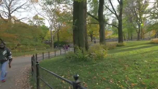 ニューヨークのセントラルパークの路地を歩く人々 — ストック動画