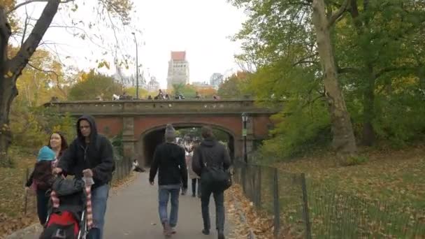 Gente Caminando Bajo Viejo Puente Piedra — Vídeos de Stock