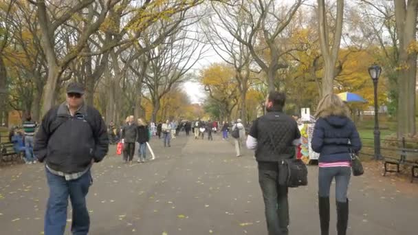New York Abd Insanlarla Dolu Central Park Sokağı — Stok video