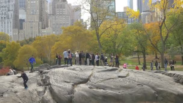 Gruppo Persone Sugli Scogli Nel Central Park — Video Stock