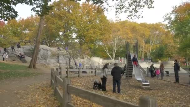 Parque Infantil Perto Rat Rock — Vídeo de Stock