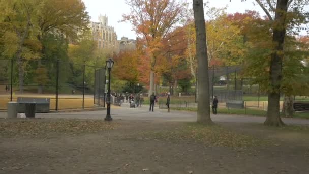 Alley Central Park — Stock Video