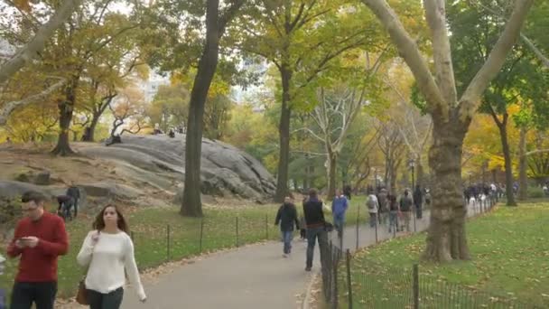 Een Wandeling Maken Het Central Park — Stockvideo