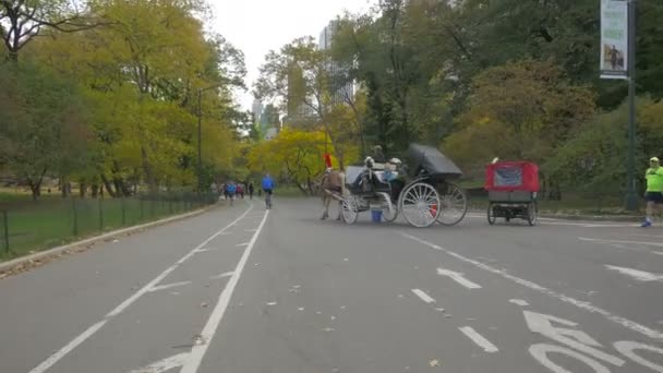 Menschen Einer Gasse New Yorker Central Park — Stockvideo